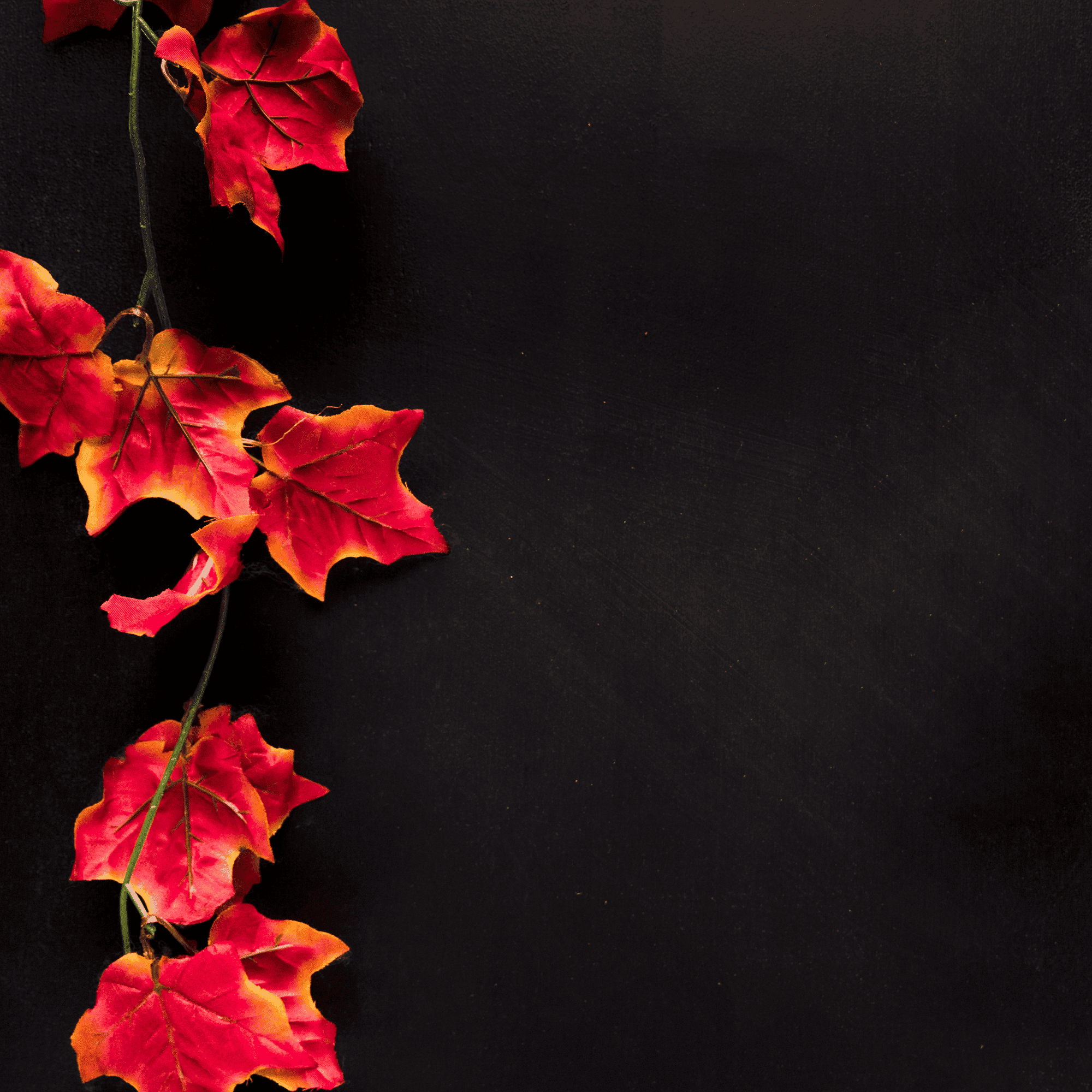 Login to your account